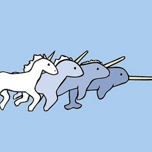 Meet your Posher, Vivian